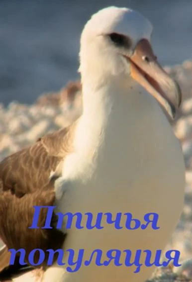 Птичья популяция смотреть онлайн