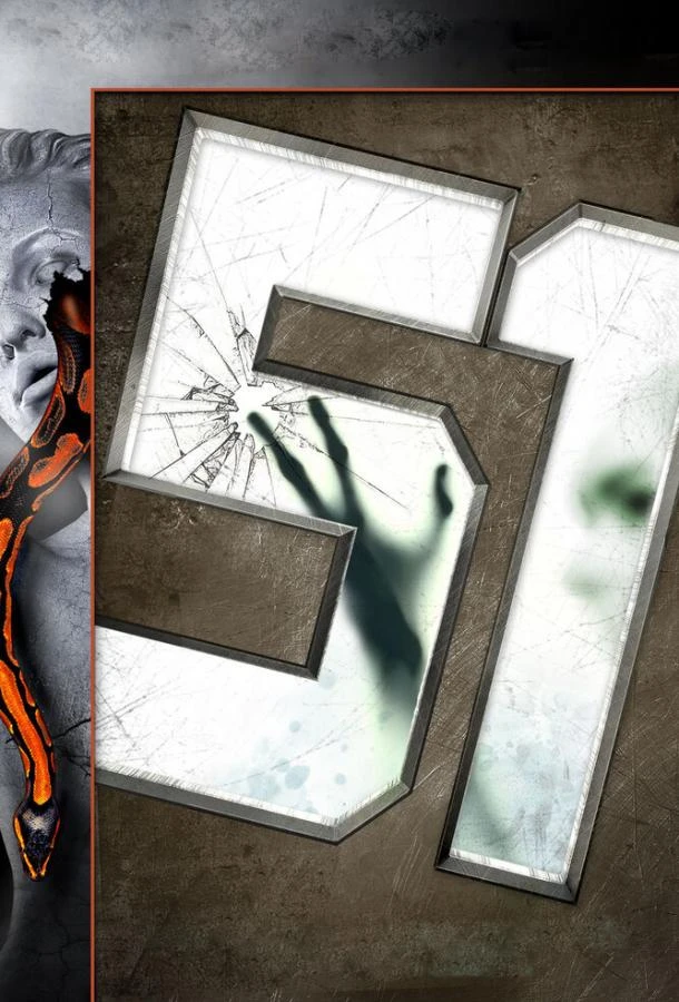  51  (2011)