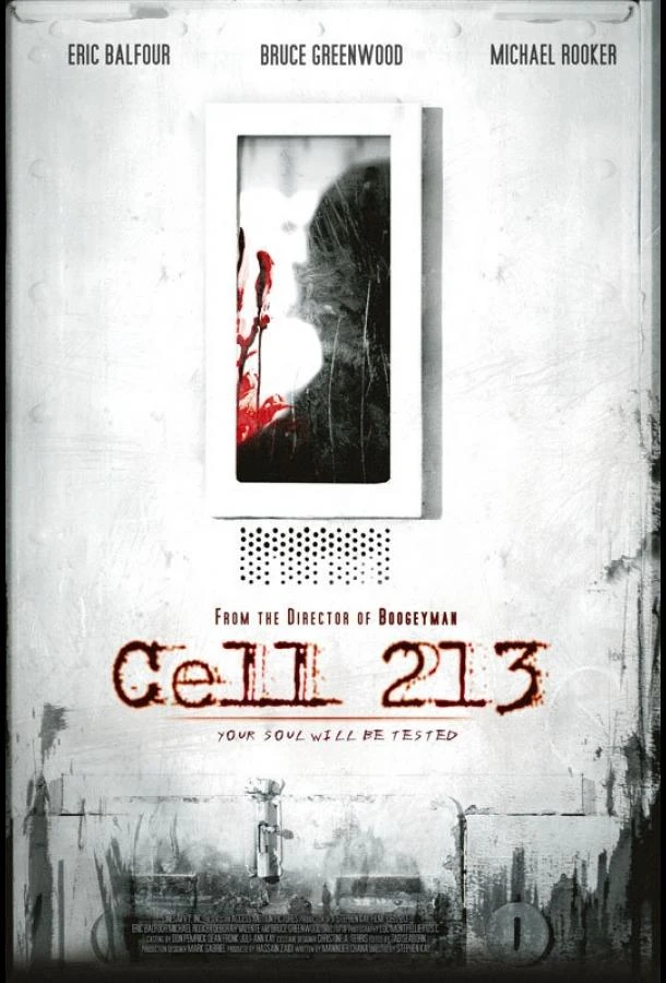 Камера 213 (2011)