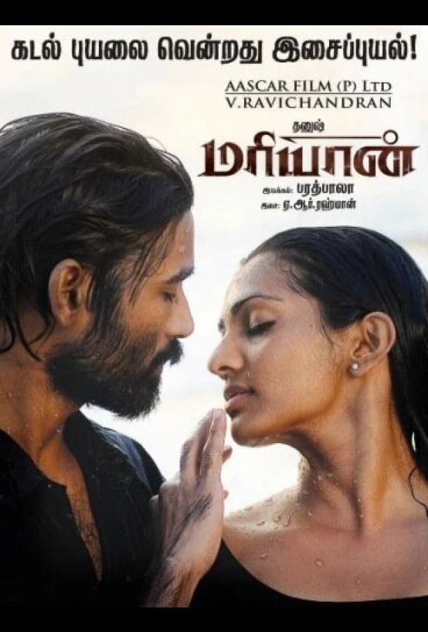  Марьян  (2013)