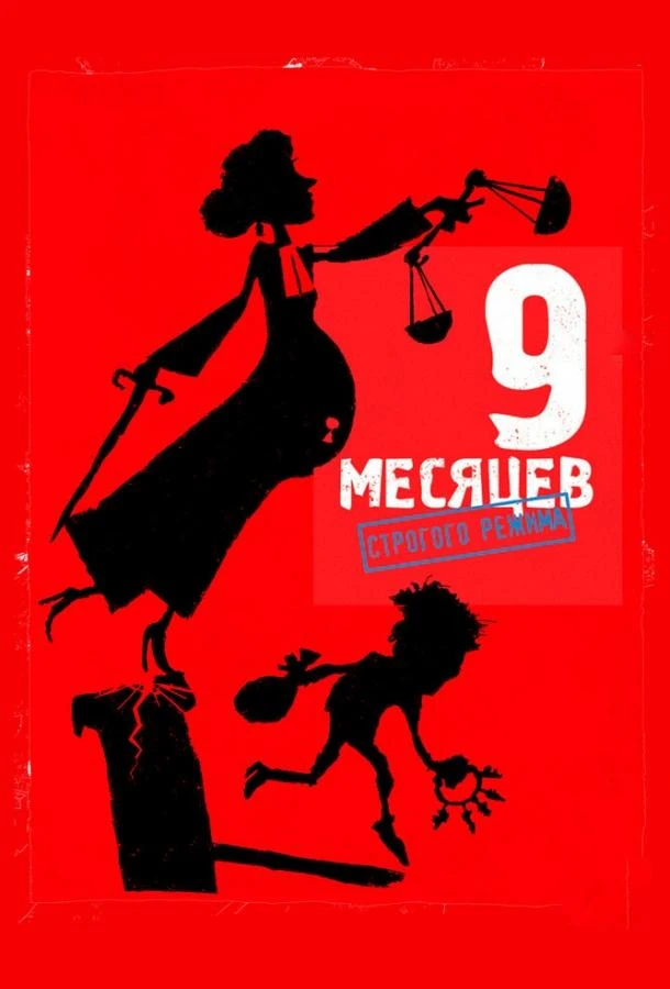  9 месяцев строгого режима  (2013)