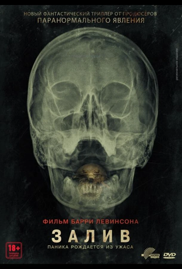  Залив  (2012)