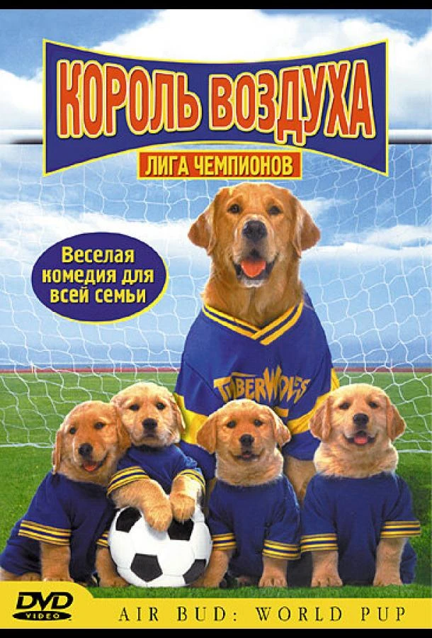 Король воздуха: Лига чемпионов смотреть онлайн