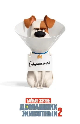  Тайная жизнь домашних животных 2  (2019)