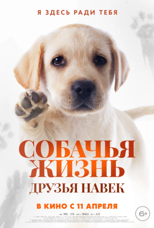  Собачья жизнь: Друзья навек  (2023)