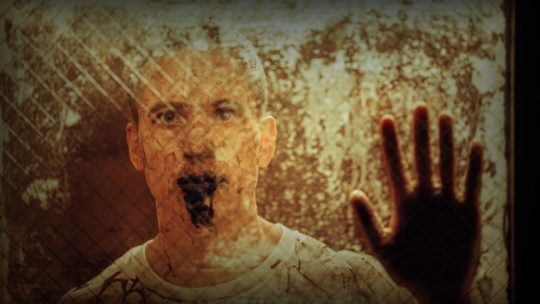 Кадр из фильма  Проклятие Лауры: Завещание 